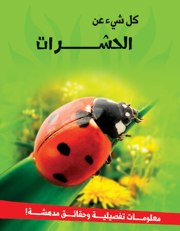 كل شيء عن الحشرات