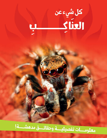 كل شيء عن العناكب