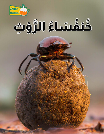 علوم بسيطة- خنفساء الروث