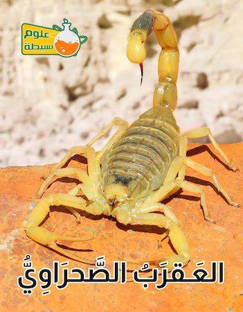 علوم بسيطة- العقرب الصحراوي