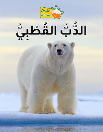 علوم بسيطة- الدب القطبي
