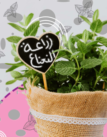 زراعة النعناع