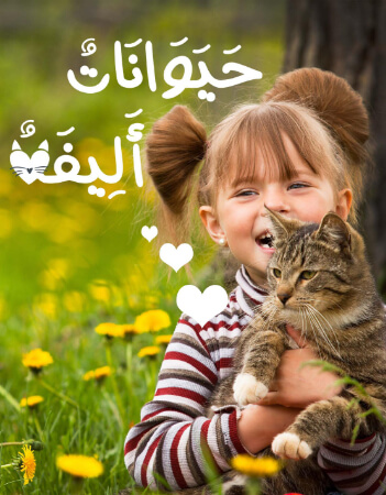 حيوانات أليفة