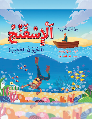 من أين يأتي الإسفنج؟