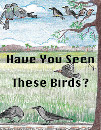 Have You Seen These Birds?