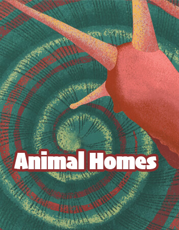 Animal Homes