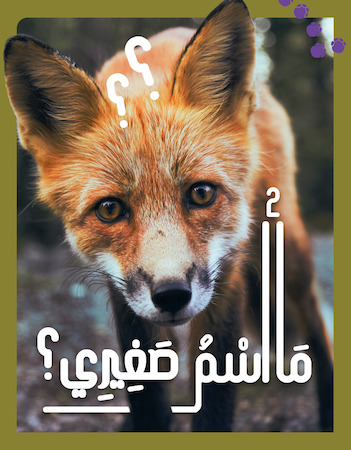  2 ما اسم صغيري؟