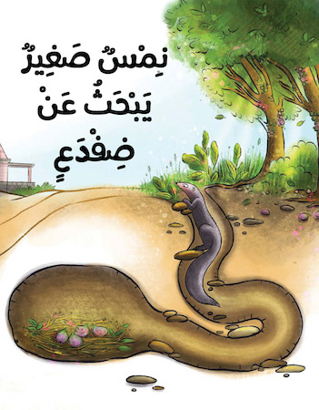 نمس صغير يبحث عن ضفدع