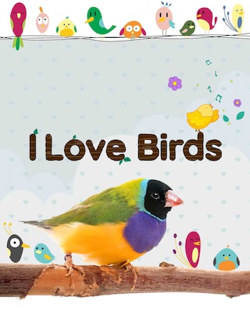 I Love Birds