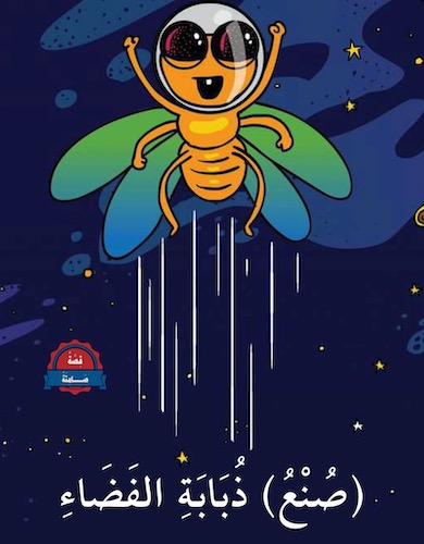 (صنع) ذبابة الفضاء