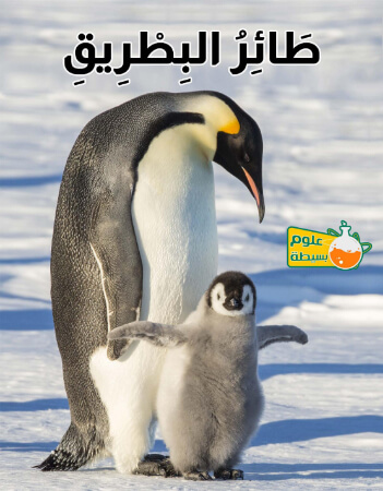 علوم بسيطة- طائر البطريق