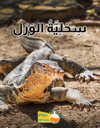 علوم بسيطة- سحلية الورل